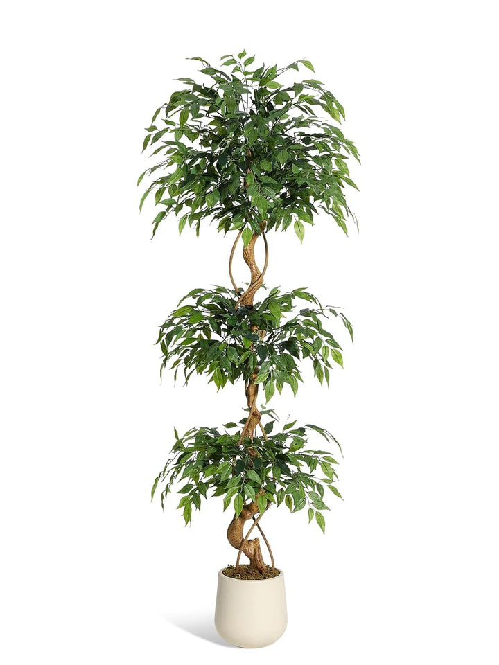 Riva™ | Lifelike Ficus tree with curved trunk