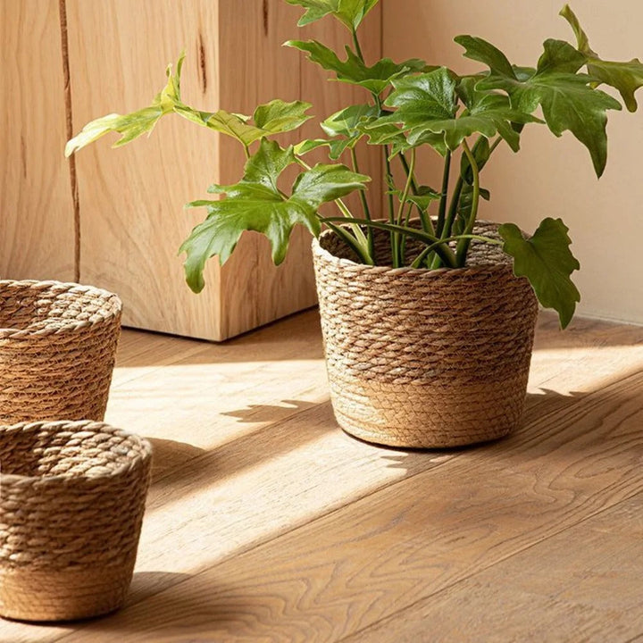 Juna™ | Naturally woven seagrass planting basket