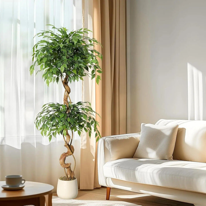 Riva™ | Lifelike Ficus tree with curved trunk
