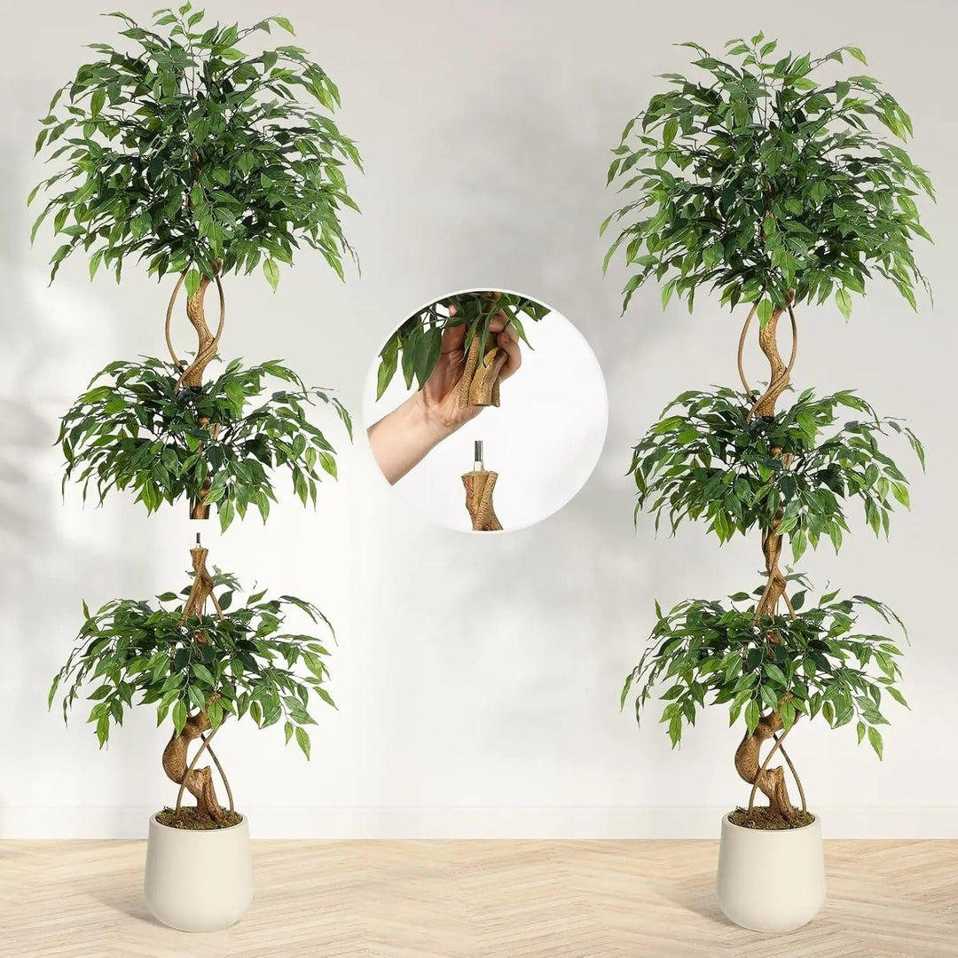 Riva™ | Lifelike Ficus tree with curved trunk