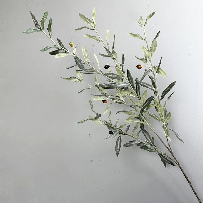 Ida™ | Elegant grey-green olive branch