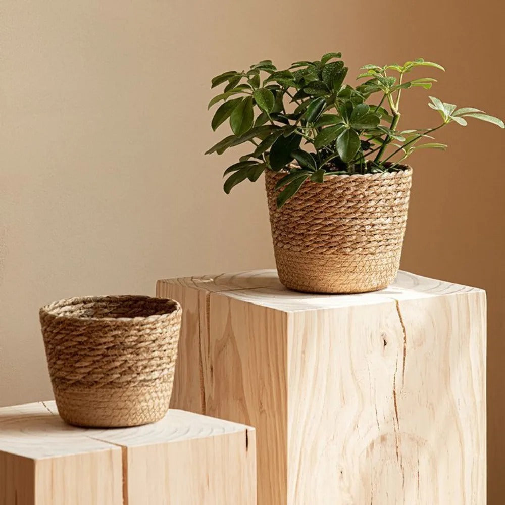 Juna™ | Naturally woven seagrass planting basket