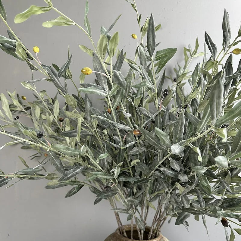 Ida™ | Elegant grey-green olive branch