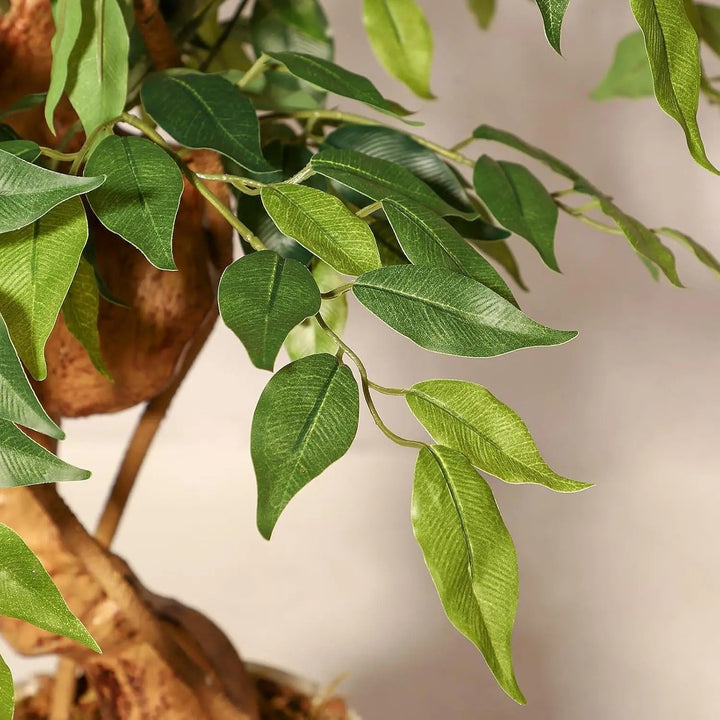 Riva™ | Lifelike Ficus tree with curved trunk