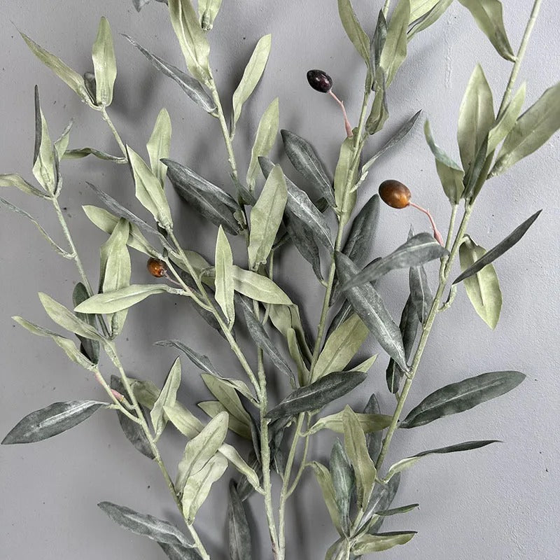 Ida™ | Elegant grey-green olive branch