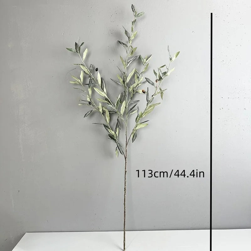 Ida™ | Elegant grey-green olive branch